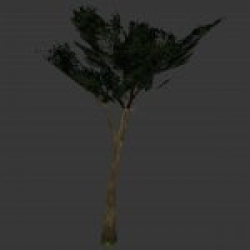 tree_tree9.mdl