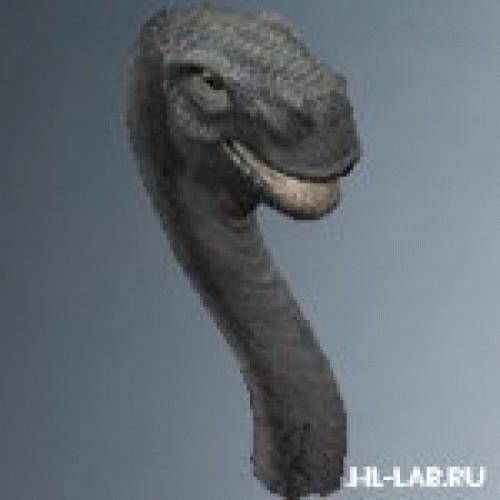 renesaurhead.zip
