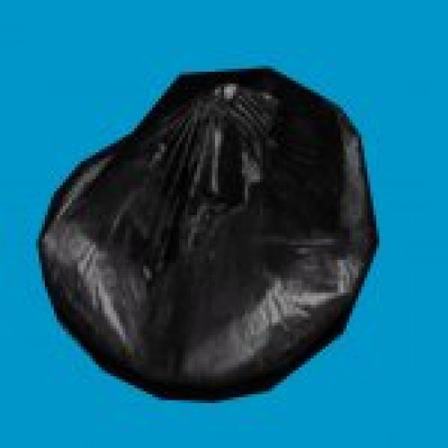 bag1
