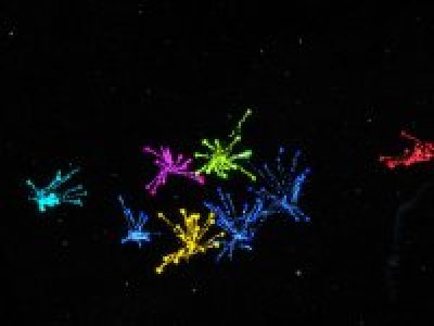 ctf_2009_xmas_rc1