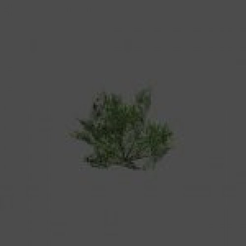 bush16