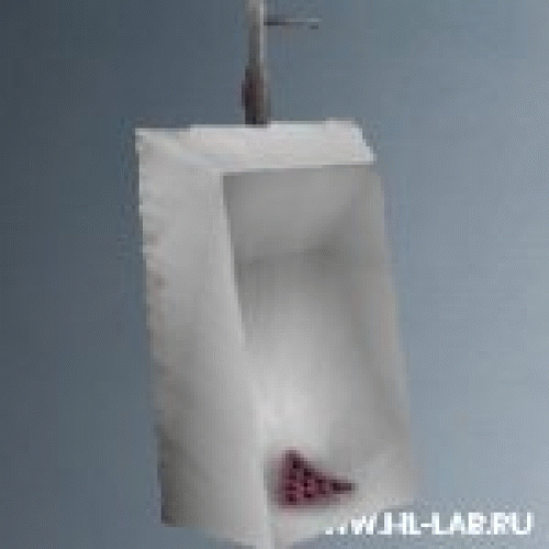 urinal