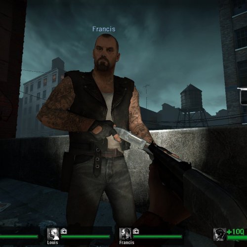 Light_metal_dark_wood_shotgun