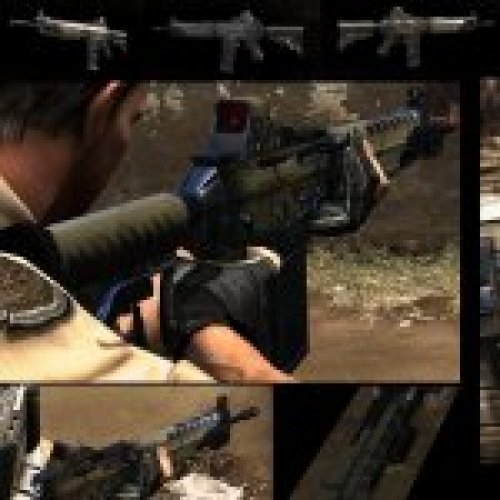 SIG 556 - Desert Skin