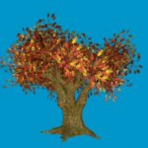 jn_falltree_01