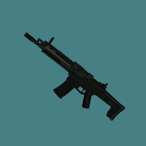 Bishmaster ACR with ironsights