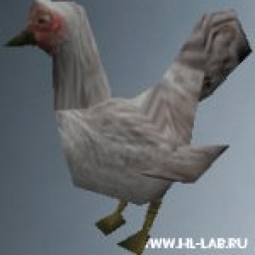chicken05.zip