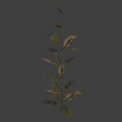 plant5
