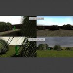 Pampas_Grass_01