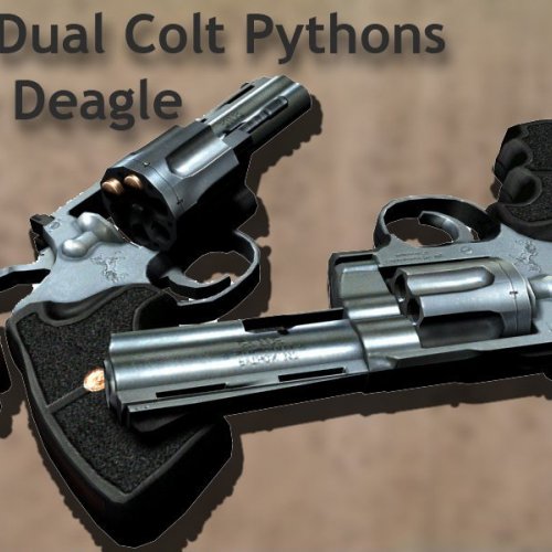 dual revolvers