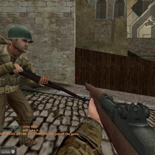 Shortfuse_s_ANTI_FOV_D_M1_Garand