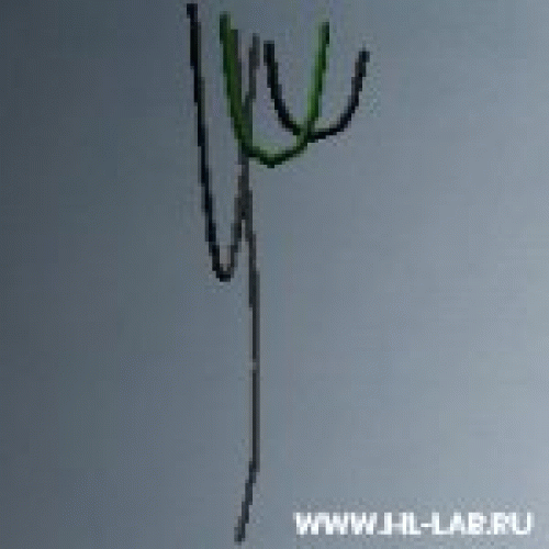 wires_fastline