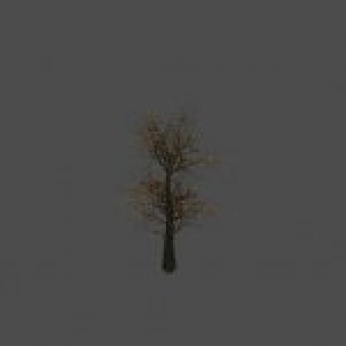 tree34