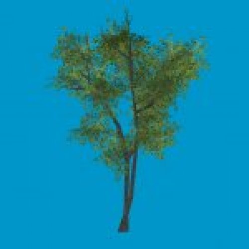 baum02