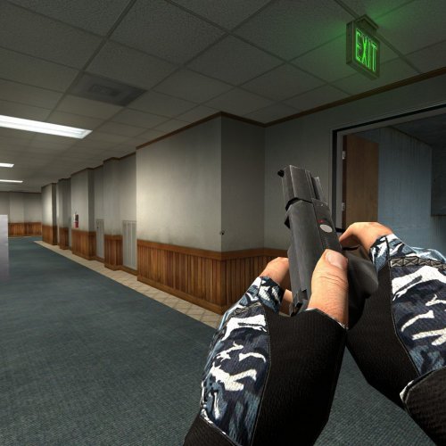 Winter_(Camo)_Gloves