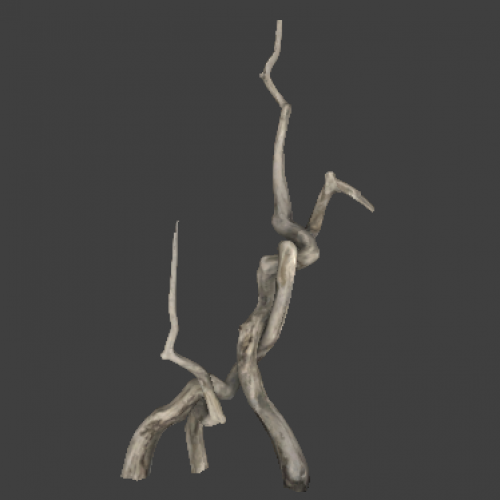 tree_12