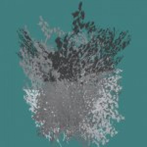 arc_snowbush.mdl