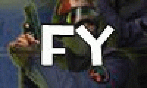 FY