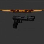 H&K P30L