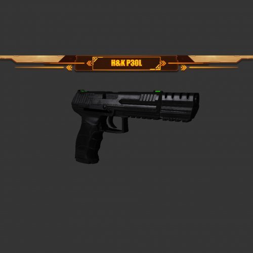 H&K P30L