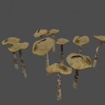 pc_Mushroom_Mesh