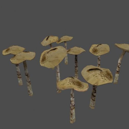pc_Mushroom_Mesh