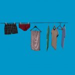 washingline