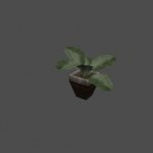 dnc_flower01