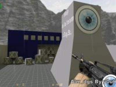 Aim_dgs