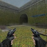 Two-tone Beretta Elites