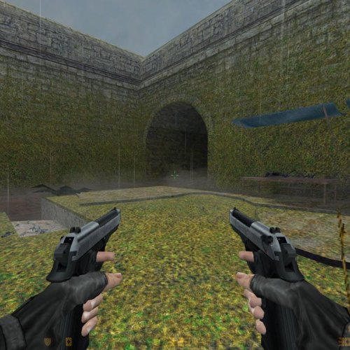 Two-tone Beretta Elites