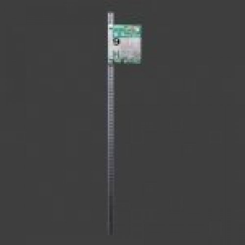 signbus_01