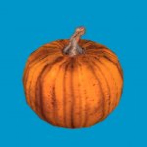 pumpkin