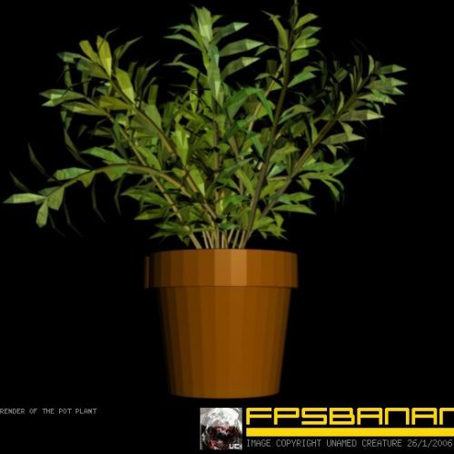 Pot Plant C4