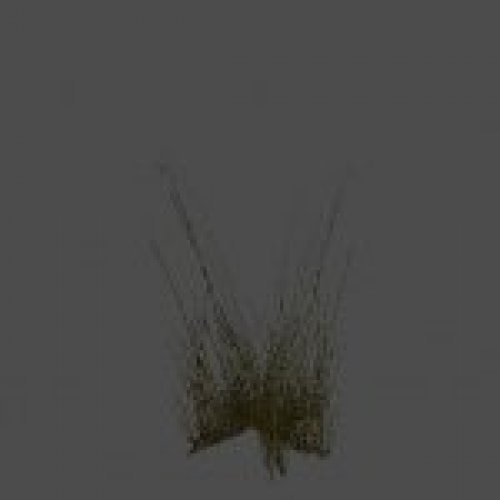 grass7