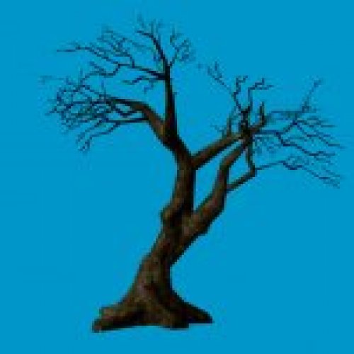 jn_twisttree_02_bb