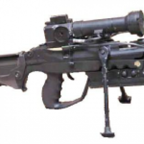 FAMAS G2 FELIN other