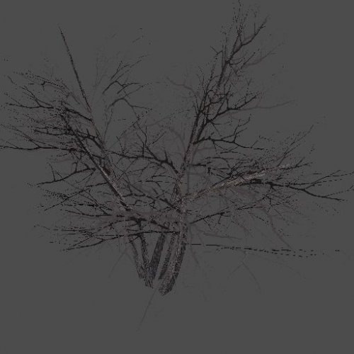 AF_drytree_2