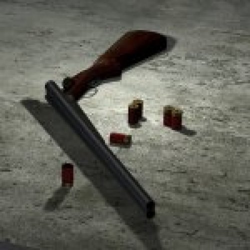 Double Barrel Shotgun