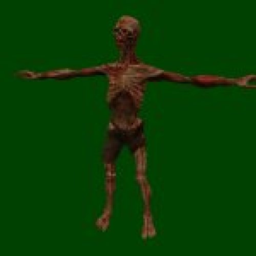 Feral Ghoul