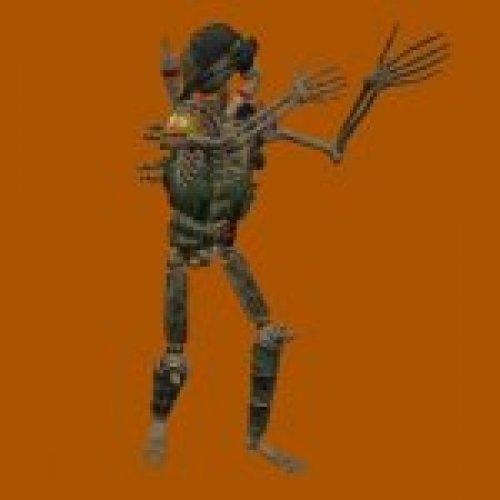 Soldiers Skeleton