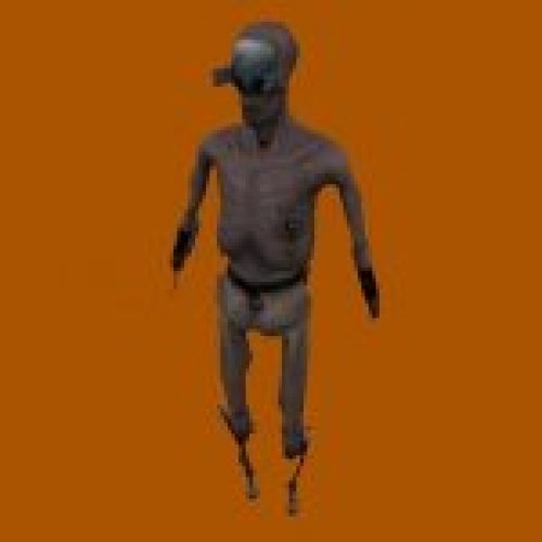HL2 stalker