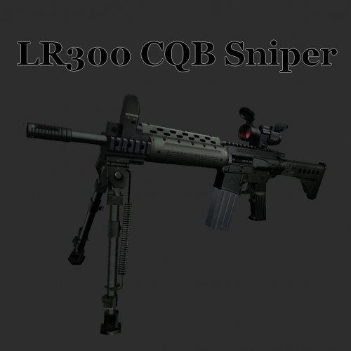 LR300 CQB Sniper
