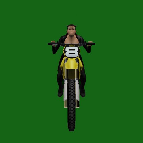 bike_nina