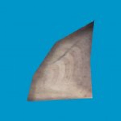 prop sharkfin