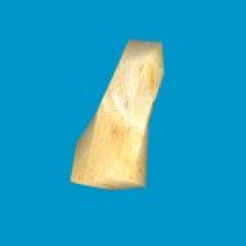 jn_orange_mushroom_01_gib00