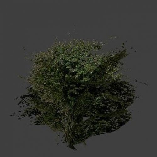 Кусты