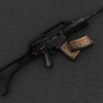 Saviors G36