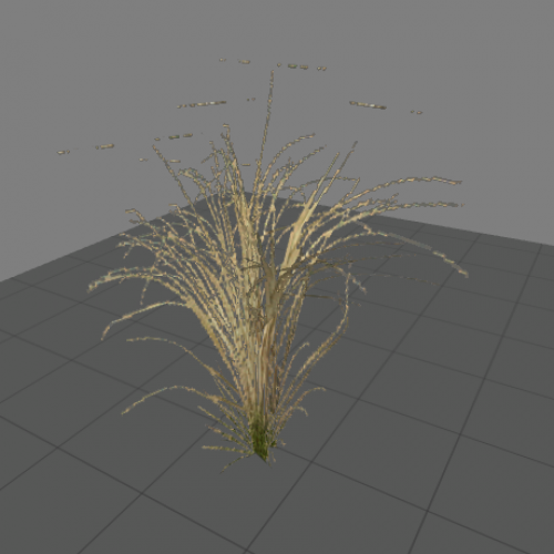 reed