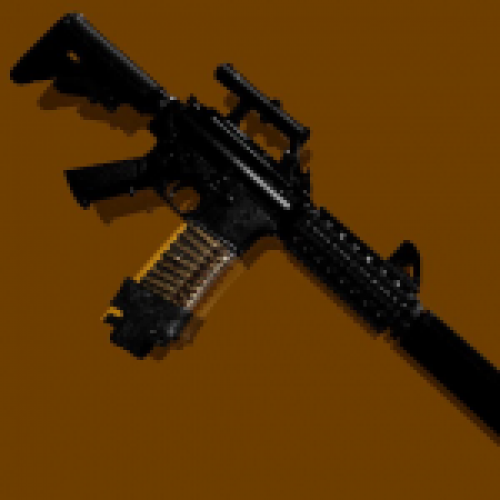 Private Collection - M4A1 Wolverine